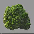 Fresh Romanesco Broccoli With Unique Spiral Structure And Vibrant Green Color