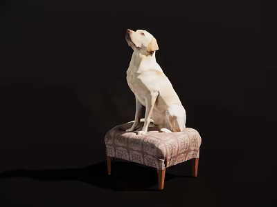 Yellow Reptile Lizard Sitting On Patterned Fabric Stool Against Dark Backdrop 3d model
