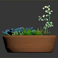 Colorful Succulent Plants in Terracotta Pot with Blue Green Leaves and White Flowers