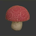 Ornamental Red Mushroom Plant with White Spots on Cap and Light Brown Stem