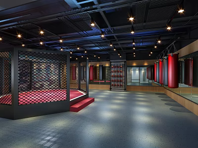 Spacious MMA Fitness Gym With Octagon Cage Red Mat Mirrors And Red Pillars 3d model