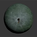 Green Round Melon With Textured Surface And Brown Stem On Dark Background 3d model