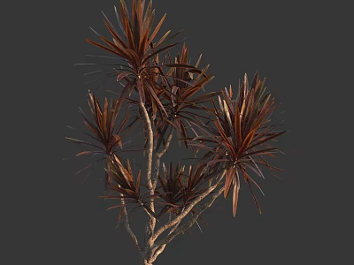 Tall Lush Arbor With Reddish Brown Leaves And Natural Branch Structure 3d model