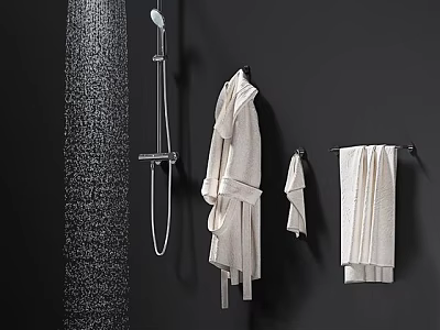 Modern Shower Head With Water Spray And Hanging Light Colored Bathrobe Towel In Bathroom 3d model