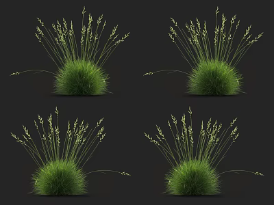 Green Grass Clusters with Slender Leaves and Spikelet Seed Heads on Black Background 3d model