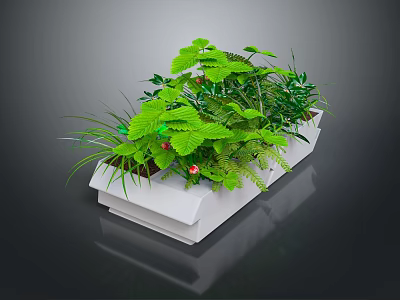 Various Green Plants In White Rectangular Planter With Ferns And Leaves 3d model