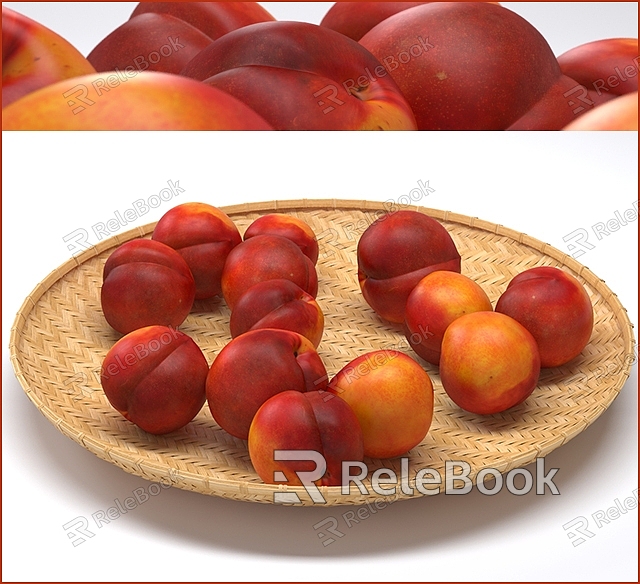 Nectarine model