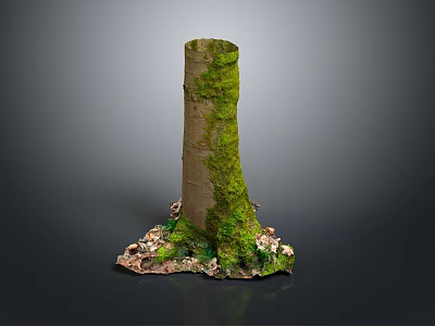 Natural Wooden Trunk With Green Moss And Stone Base Decorative Design 3d model