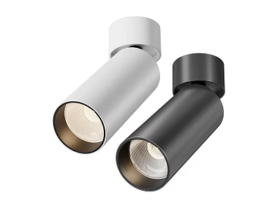 Modern White And Black Downlights Spotlights With Sleek Design For Indoor Lighting 3d model
