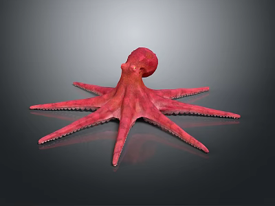 Pink Octopus With Long Tentacles In 3D Rendering On Gray Background 3d model