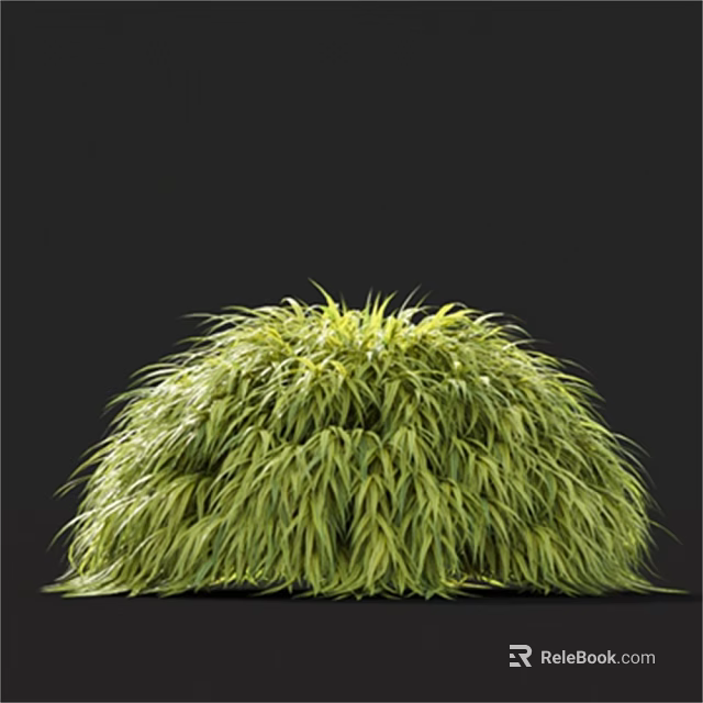 Lush Green Grass with Long Slender Leaves and Round Shape on Black Background 3d model 