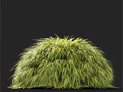Lush Green Grass with Long Slender Leaves and Round Shape on Black Background 3d model