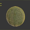 Fresh Ripe Cantaloupe With Green And Yellow Netted Skin Round Shape On Gray Background