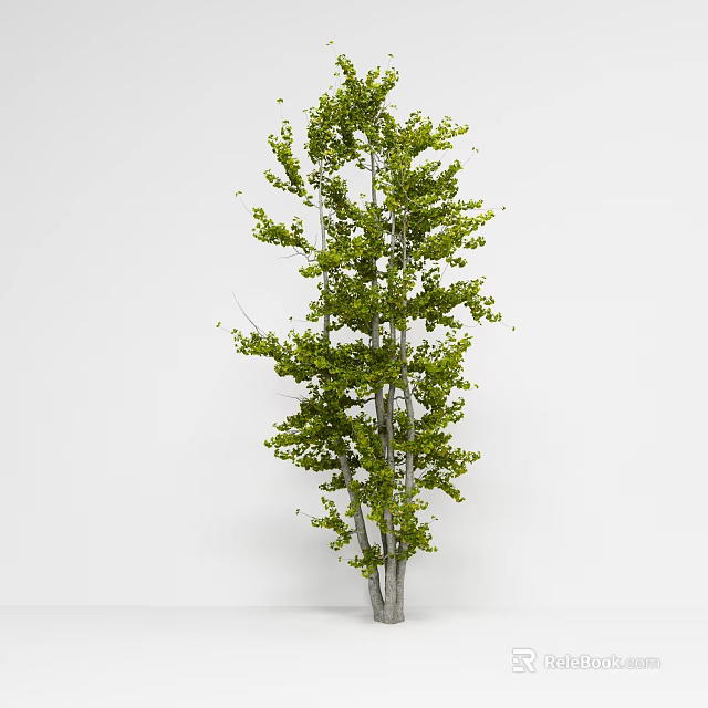 Lush Green Leaf Tree With Gray Trunk Standing Tall On White Background 3d model