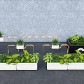 Modern White Flower Planters with Golden Metal Frames and Green Plants
