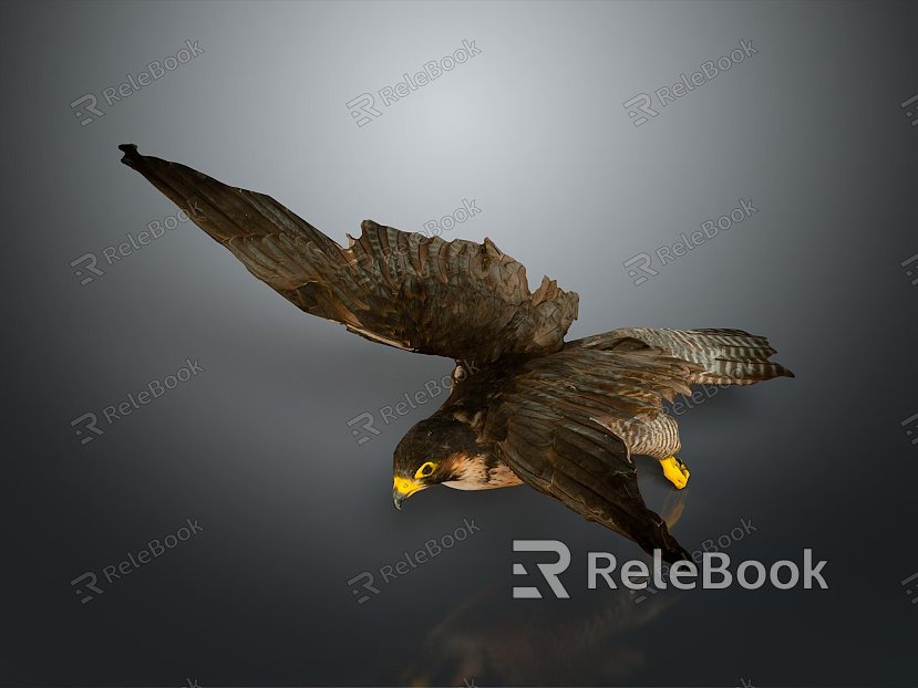 Eagle Large Eagle Owl Raptor Falcon Bird Bird Bird Animal Game Animal model