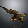 Realistic Flying Falcon With Spread Wings Soaring In Gray Background 3d model