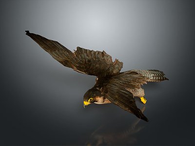 Eagle Large Eagle Owl Raptor Falcon Bird Animal Game Animal 3d model