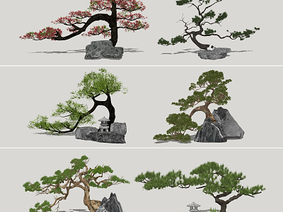 Zen Pine Chinese Pine model