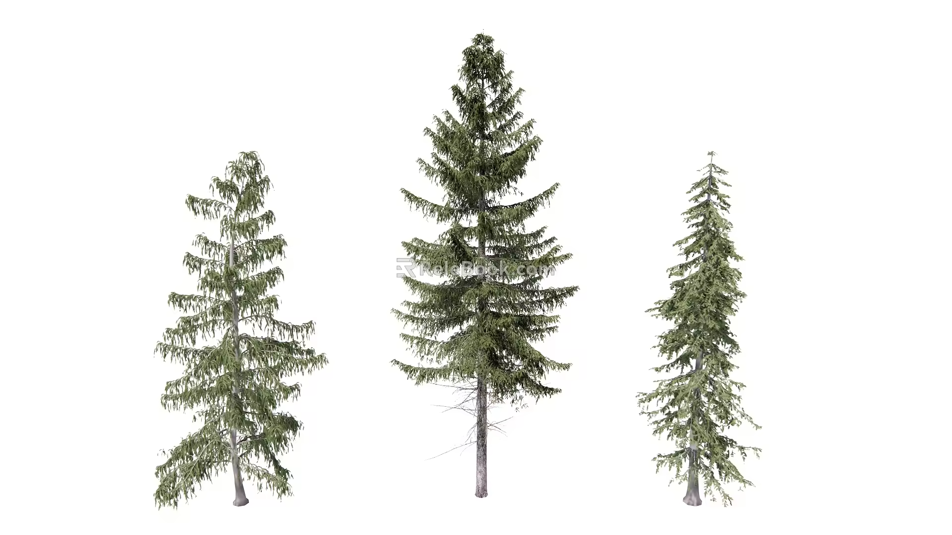 Modern pine combination 3d model