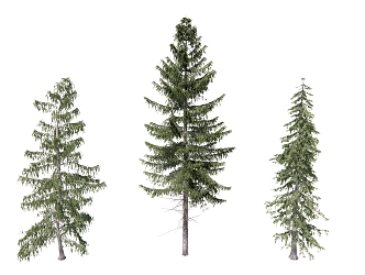 Modern pine combination 3d model