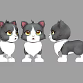 Cute Cartoon Kittens In Three Angles With Gray White Fur Pink Ears And Yellow Eyes