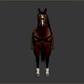 Realistic Brown Horse With Saddle And Bridle Standing On Dark Background