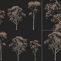 Diverse Arbor Tree Shapes Featuring Varied Branch Growth And Foliage Types 3d model
