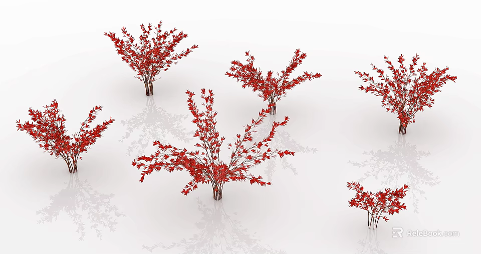 Multiple Red Leaf Shrubs Arranged On White Background With Reflections 3d model 