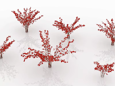 Multiple Red Leaf Shrubs Arranged On White Background With Reflections 3d model
