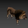 Realistic 3D Lion Model With Brown Mane Standing On Dark Background