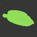 Single Fresh Pink And White Flat Aquatic Animal With Smooth Body