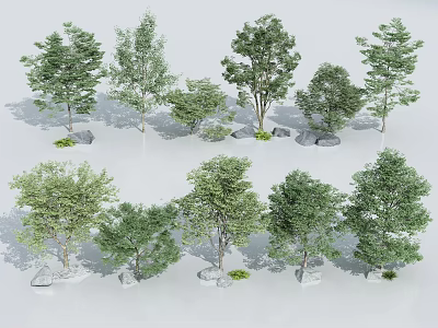 Different Types of Arbor Trees with Green Foliage and Stones Group Arrangement 3d model
