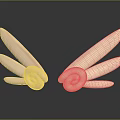 Decorative Character Rabbit Ears With Pink Spiral Design On Black Surface Reflections