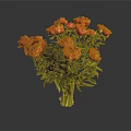 Fresh Red Peonies Bouquet In Clear Glass Vase Against Grey Background