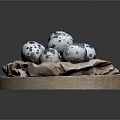 Fresh Small Quail Eggs Neatly Arranged on Wooden Plate with Parchment Paper