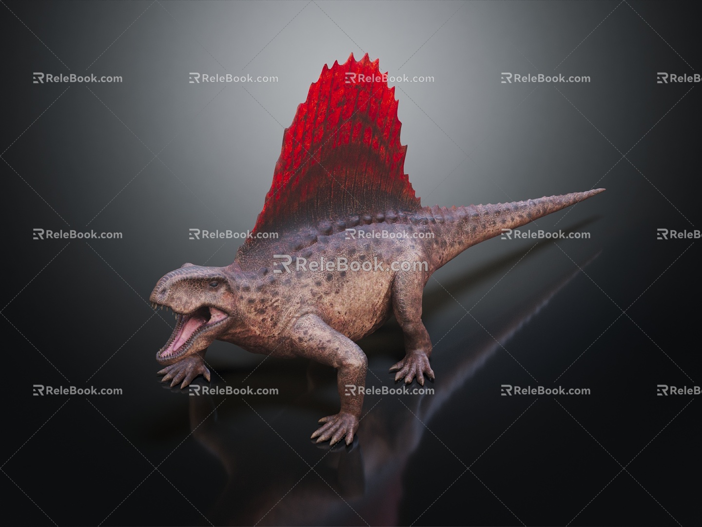 Modern Dinosaur Heterodontosaurus Sailosaurus longanthosaurus 3d model