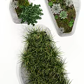 Decorative Bonsai Potted Plants in Unique Stone Planters with Succulents Grasses and Small Shrubs