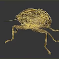 Realistic Detailed 3D Rendered Beetle With Brown Exoskeleton Compound Eyes And Legs