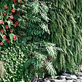 Lush Living Plant Wall With Purple Flowers Green Plants Wooden Background And Pebble Ground