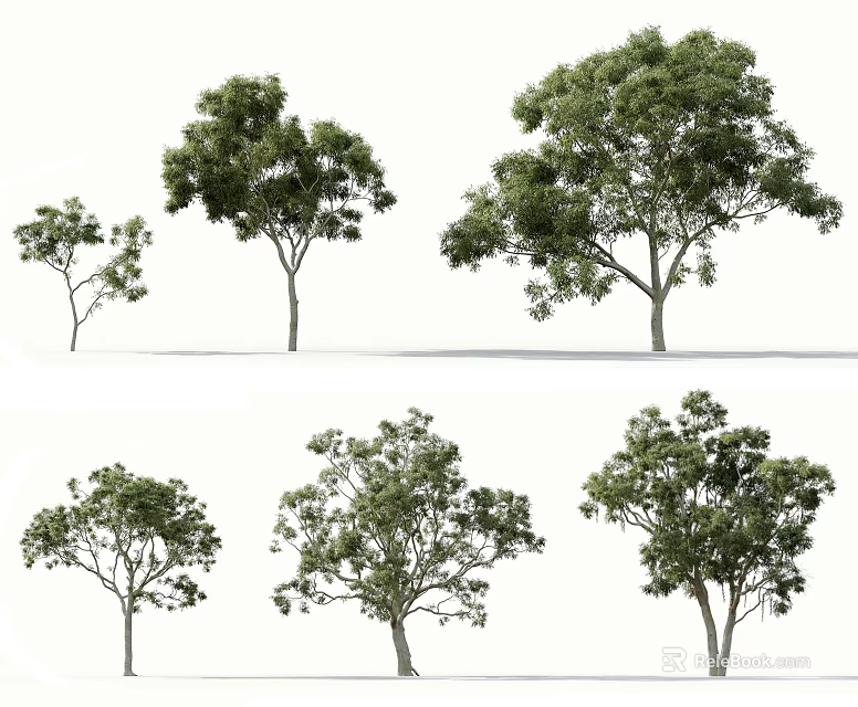 Arbor Trees With Various Green Foliage And Different Natural Growth Forms 3d model 