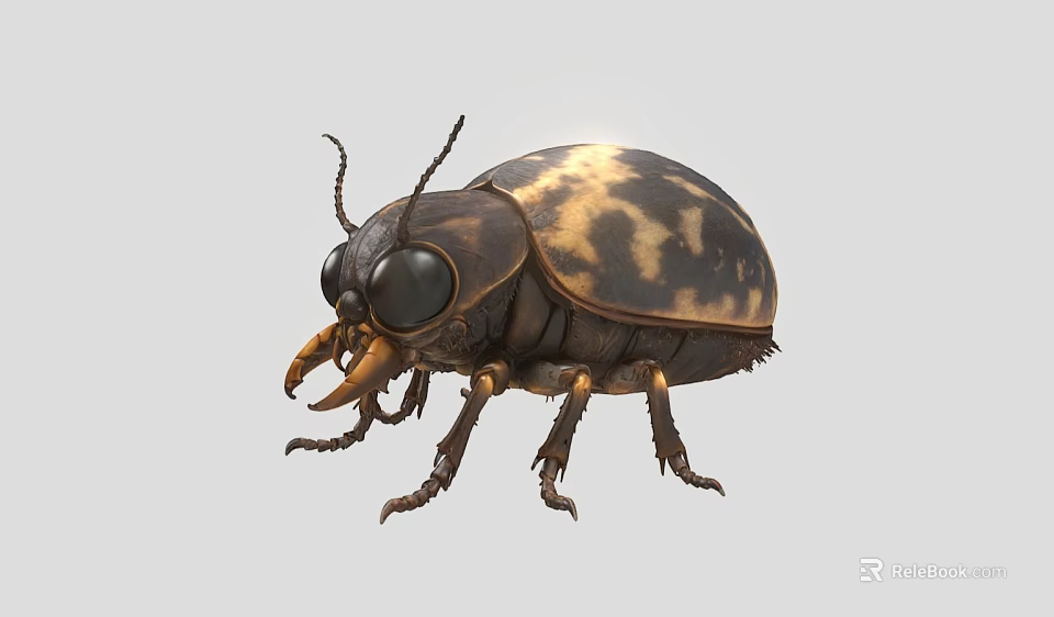 Flying Animal Beetle with Black and Yellow Spotted Body Large Eyes Antennae and Legs 3d model 