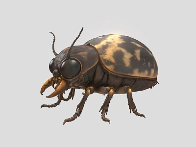Flying Animal Beetle with Black and Yellow Spotted Body Large Eyes Antennae and Legs 3d model