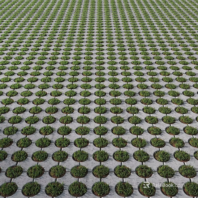Ground Covered With Neatly Arranged Green Plants In Orderly Rows 3d model 