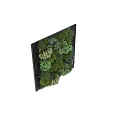 Vertical Indoor Green Plant Wall With Various Leafy Plants And Lush Greenery