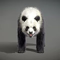 Black and White Standing Panda With Open Mouth In 3D Rendered 3d model