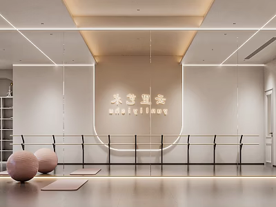Modern Fitness Studio Interior With Yoga Mats And Exercise Balls 3d model
