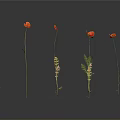 Red Flowers With Slender Stems Blooming Against Gray Background And Reflections 3d model