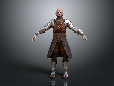 Medieval Fantasy Game Movie Character Wearing Silver Brown Armor And Long Robe 3d model