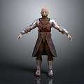 Medieval Fantasy Game Movie Character Wearing Silver Brown Armor And Long Robe
